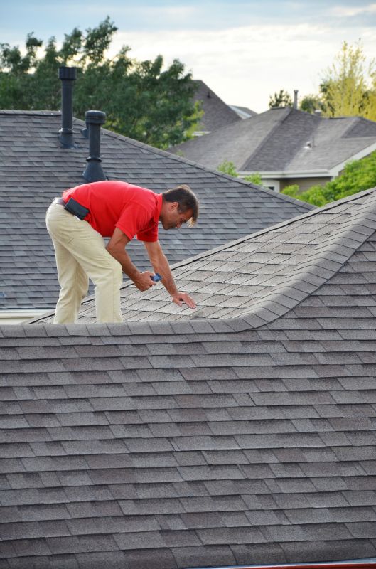 Contractor Inspecting Roof